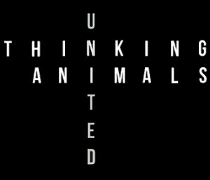 Thinking Animals United